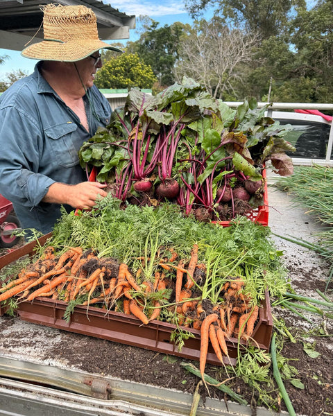 Sandy Creek Gourmet Produce Box