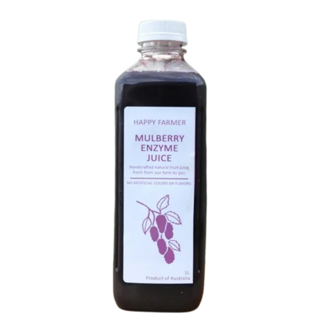 Organic Mulberry Enzyme Concentrate 1000ml