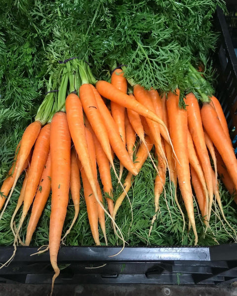 Sandy Creek Gourmet Produce Box