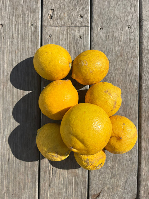 Lisbon Lemons - Bag